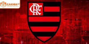 Flamengo Brazil Copa Libertadores